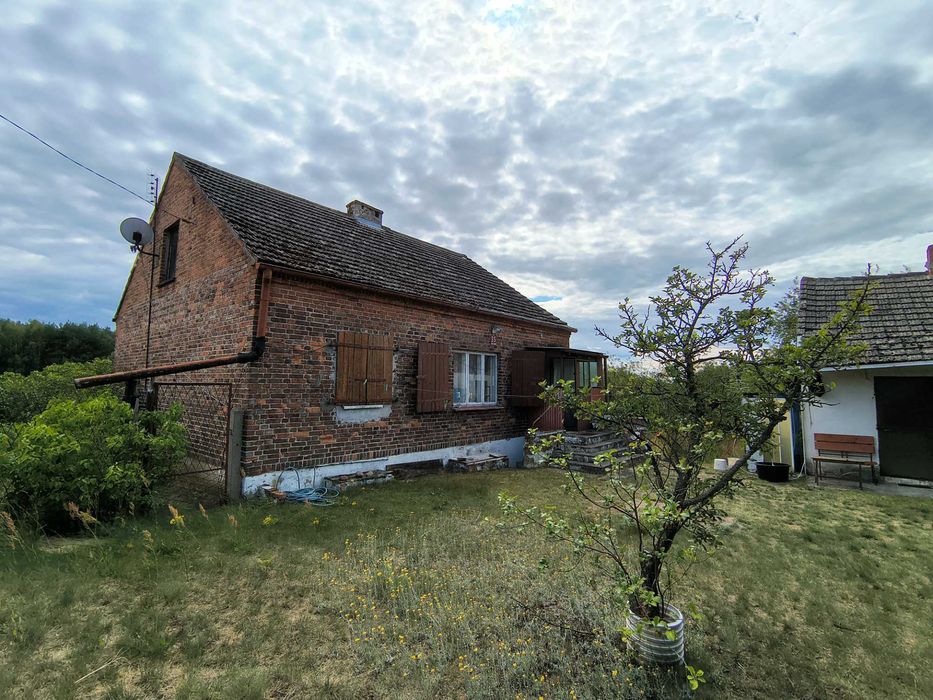 Dom z cegły 83 m² | 1180 m² działki | Las, cisza, z dala od sąsiadów