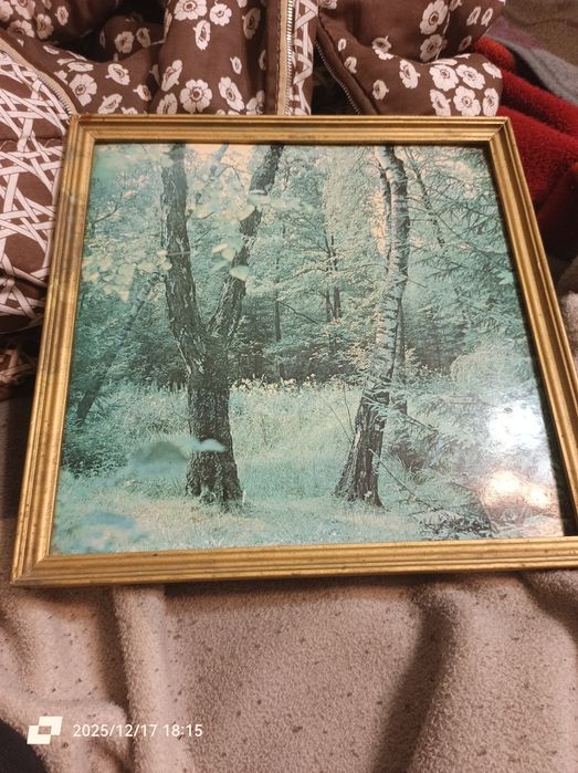 Старовина картина ссср