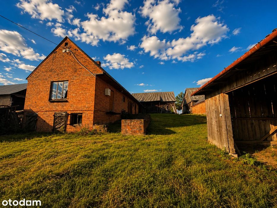 Działka 0,30 ha z zabudowaniami Zdziłowice Czwarte.