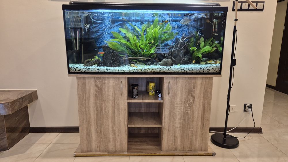 Akwarium z szafką 240 l plus filtr