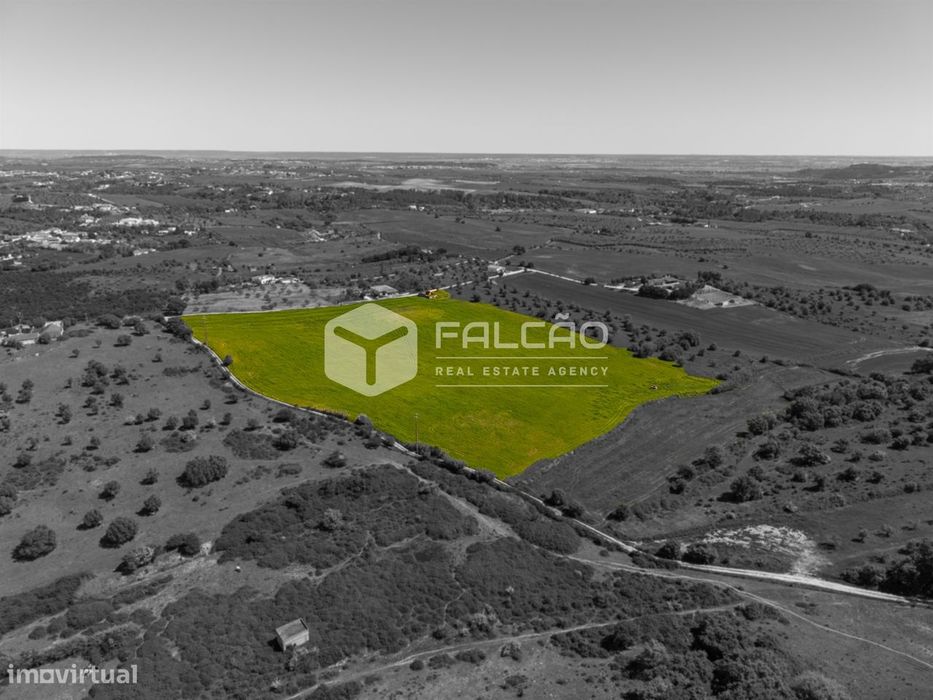 Terreno Misto  Venda em Romeira e Várzea,Santarém