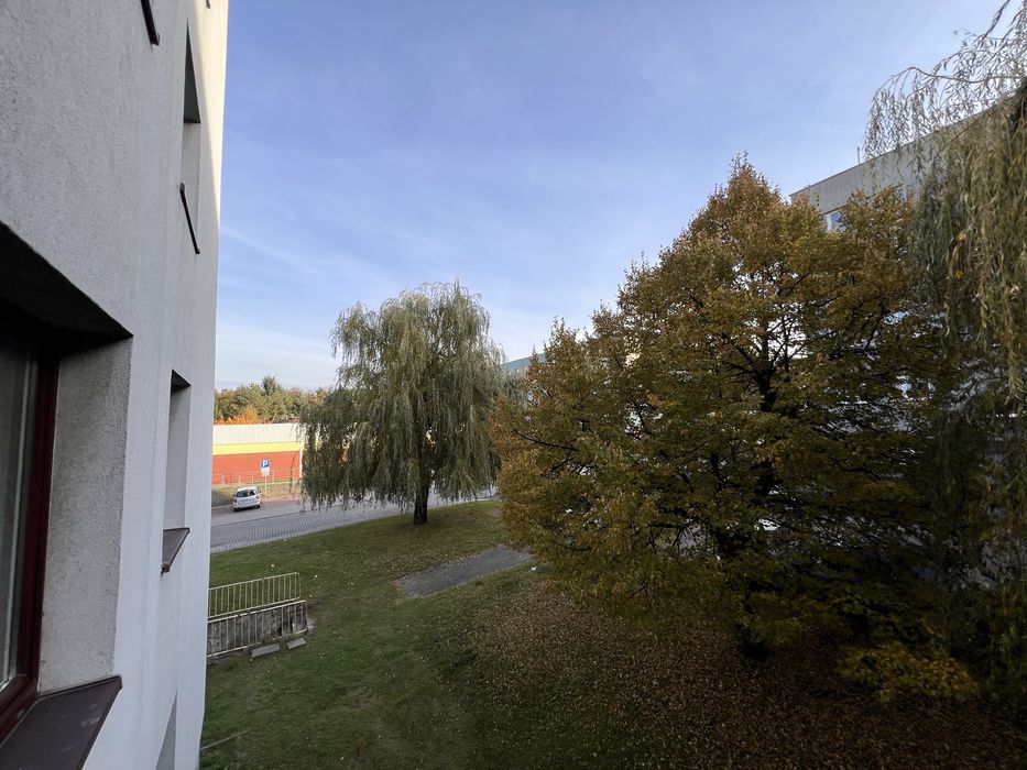 Mieszkanie przytulne, zadbane i jasne na osiedlu Fazos - Widok 2