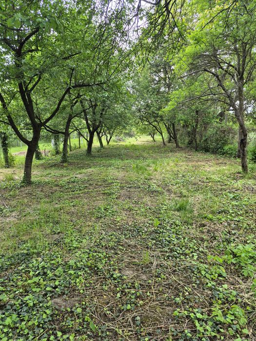 Дом по адресу Петефі Шандора пл. (площадь 61 м²) - Atlanta.ua - фото 2