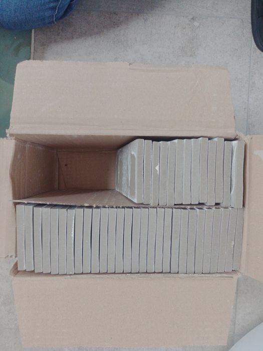 Ragno Bianco glossi 7,5 na 20 cm