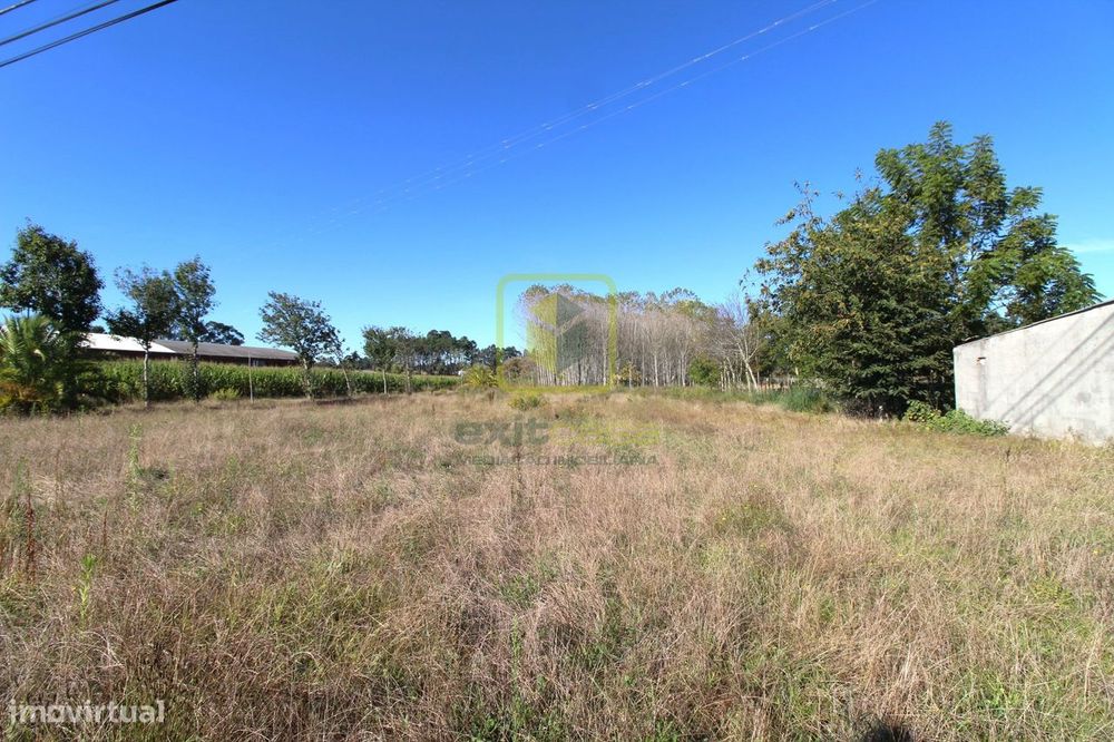Terreno para Venda em Sosa