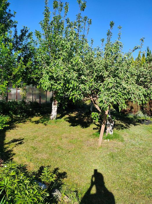 Działka rekreacyjna 600 m² Niekłonice - Widok 4