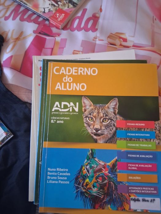 Livros várias diaciplinas 8 ano