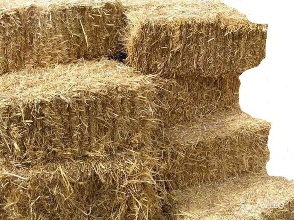 Продам тюки ячмінки