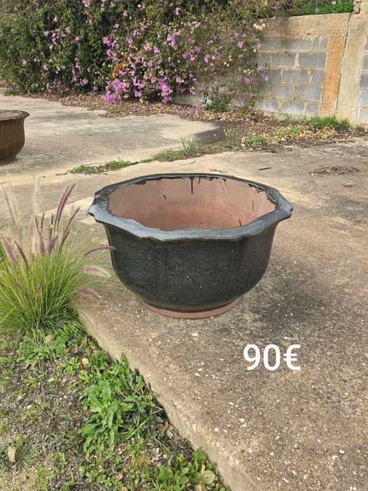 Vasos Chineses oportunidade