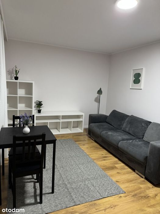 2 oddzielne pokoje, osobna kuchnia, Centrum/Konopnickiej