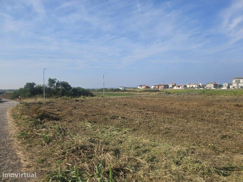 Terreno Agrícola - Carreço