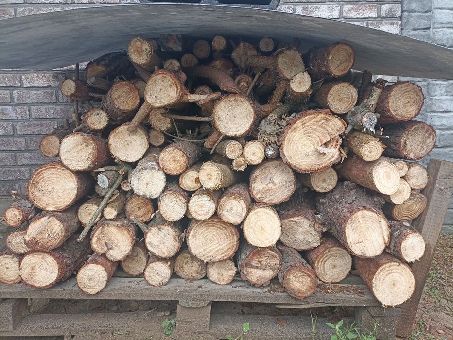 Pocięte drewno, głównie sosna