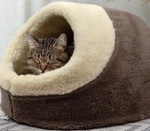 Тепла хутряна хатинка будиночок домик для котика собачки