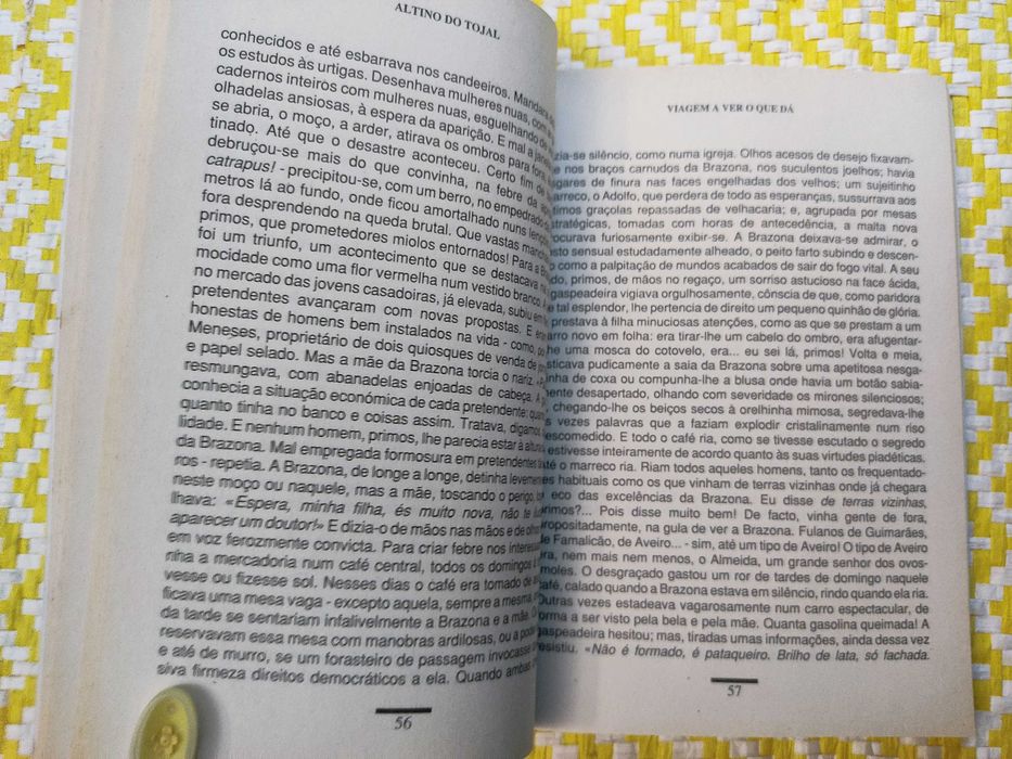 VIAGEM A VER O QUE DÁ – 
Altino do Tojal