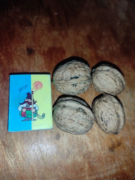 Продам саджанці плодових і декор.дерев