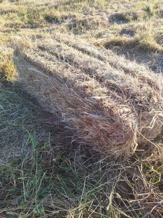 Продам сiно в тюках