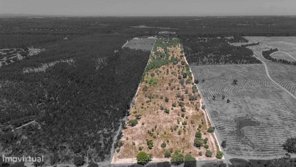 Terreno  para venda