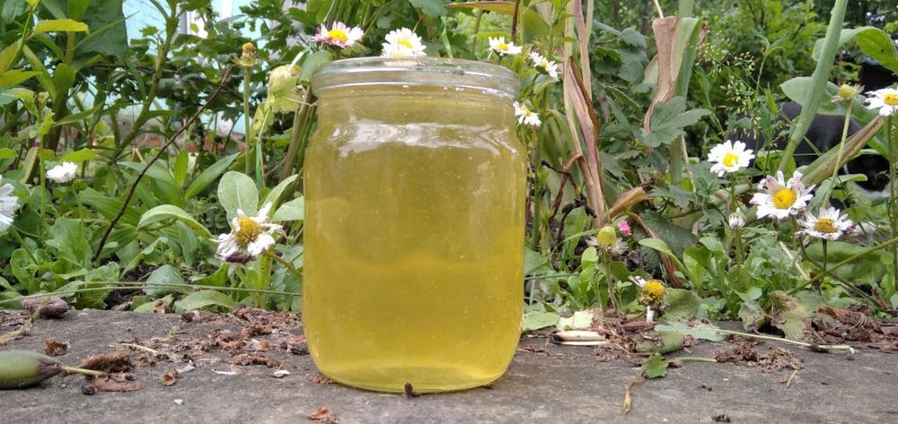 Мед акацієвий та липовий сезон 2025