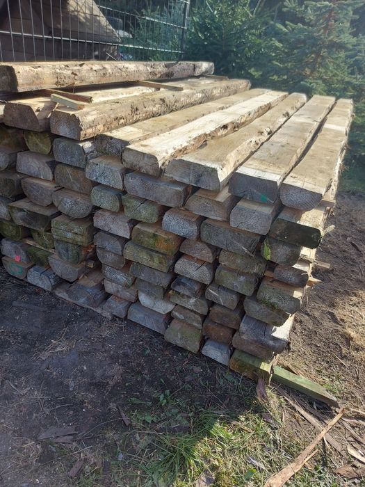 Baliki świerkowe
