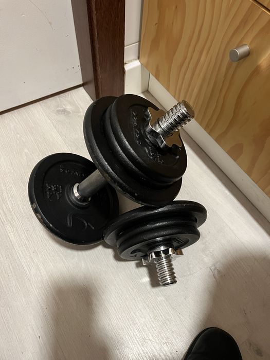 Pesos halters ginasio