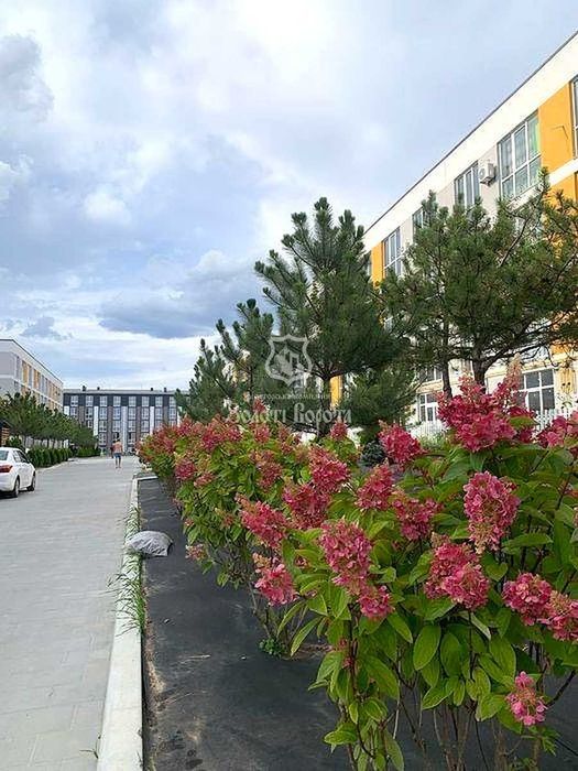 Квартира, 1к. Під ремонт. Богдана Хмельницького, 17/4, село Святопетрівське