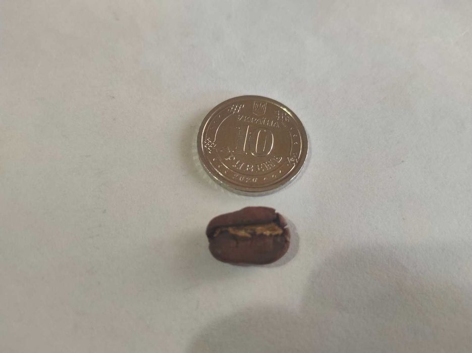 Новинка не пропустить! Кава зернова Никарагуа МАРАГОДЖИП 22 скрін!