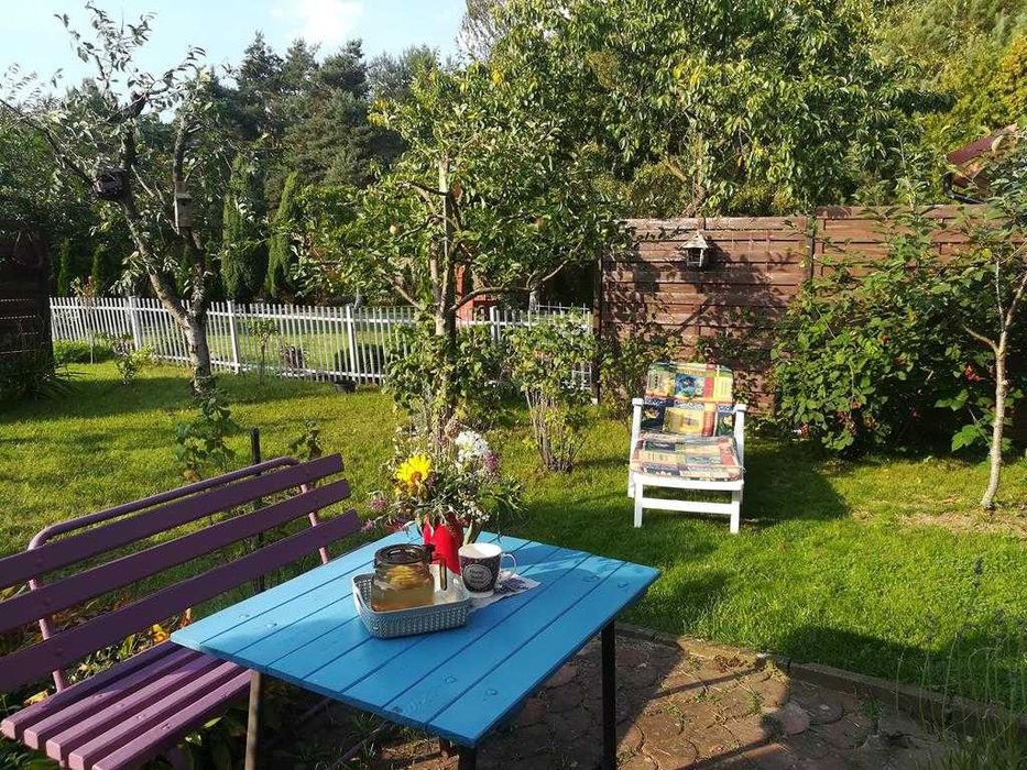 Duża działka ROD Wronki Borek - Widok 5