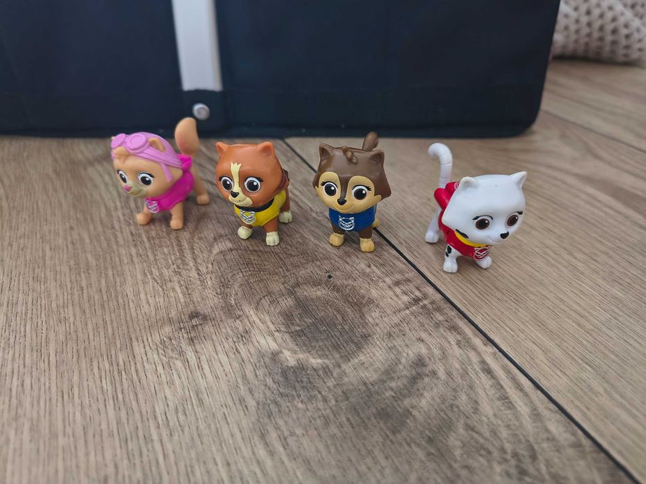 Koty kotki Hunfingera psi patrol paw patrol