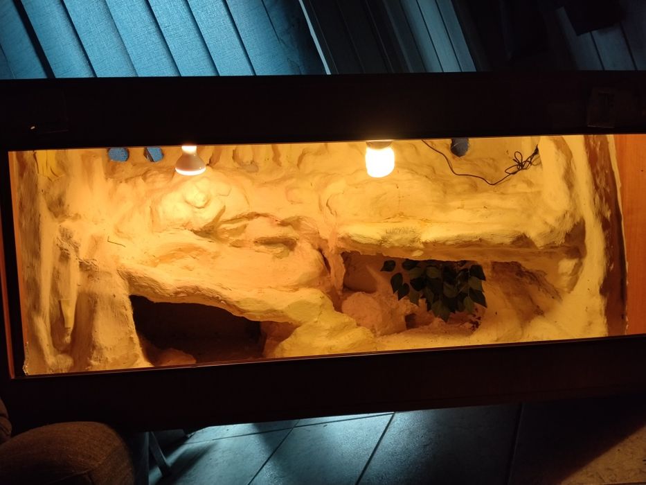 Terrarium 1200/60/60