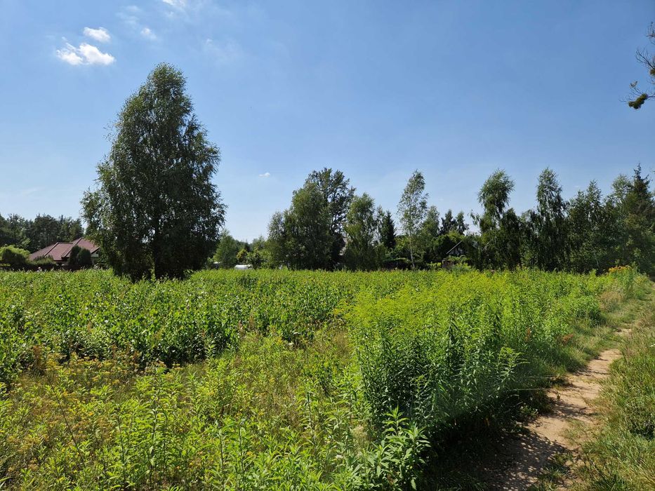Działka budowlana 2210 m² | MPZP | możliwość podziału - Widok 4