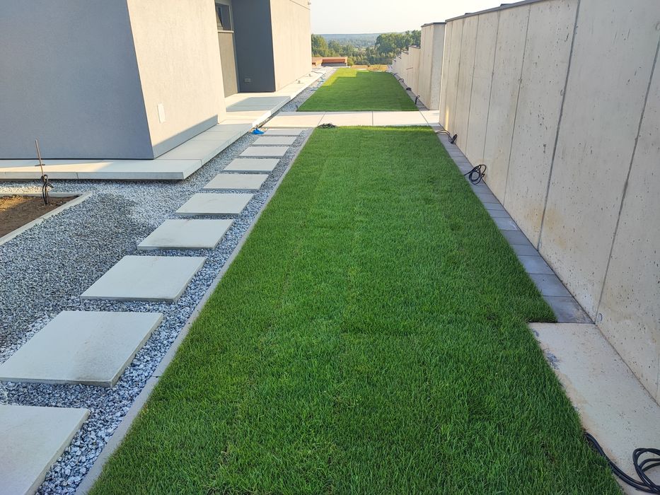 Trawnik z rolki, nawadnianie, kompleksowo, Garden Wasilków