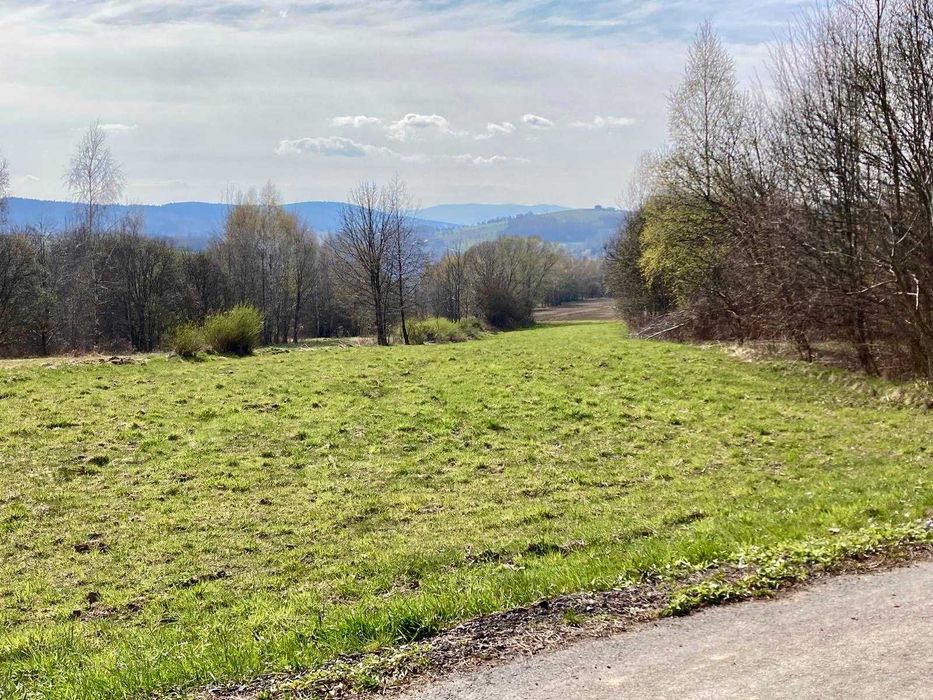 Widokowa działka budowlano-rolna w Lanckoronie