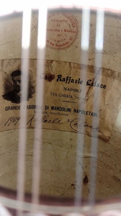 VENDO - Mandolin Napolitano Centenário (1909) - Raffaele Calace