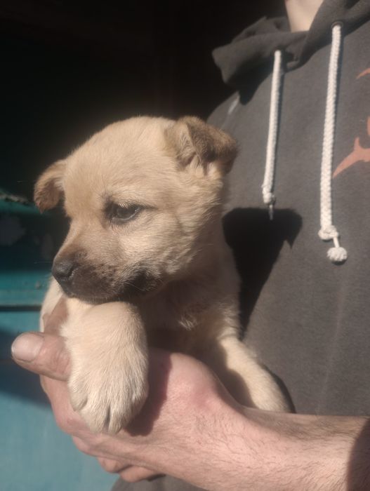 Хлопчик 2 міс вакцинован