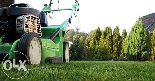 Usługi Ogrodnicze Zakładanie ogrodów Trawniki