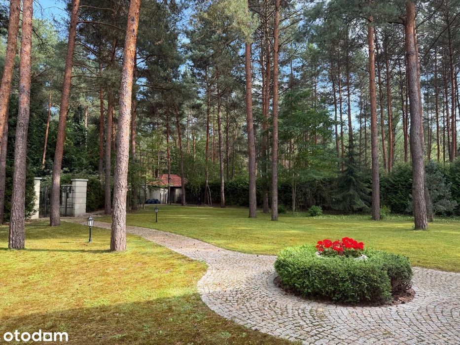 Dom – Warszawa - Widok 2