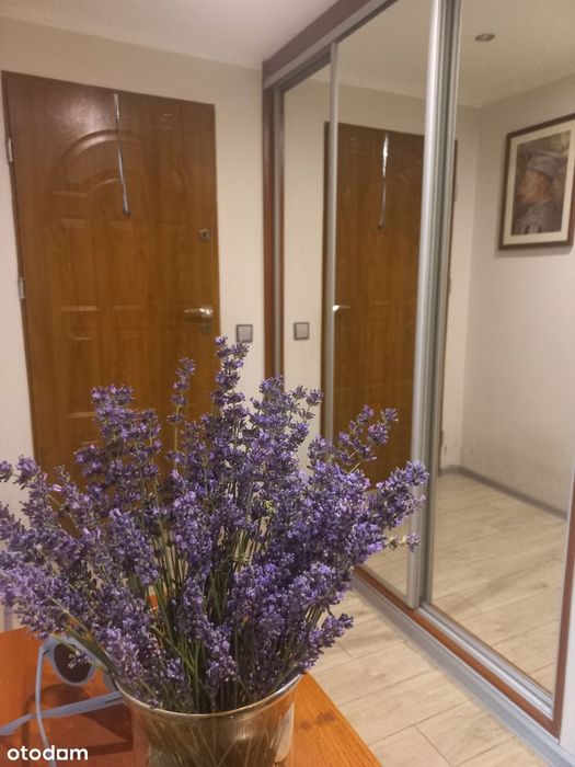REZERWACJA Wygodne mieszkanie w Raciborzu na Ostrogu