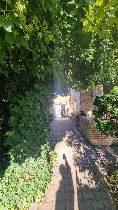 Podejmę współpracę, podnajmę pomieszczenie