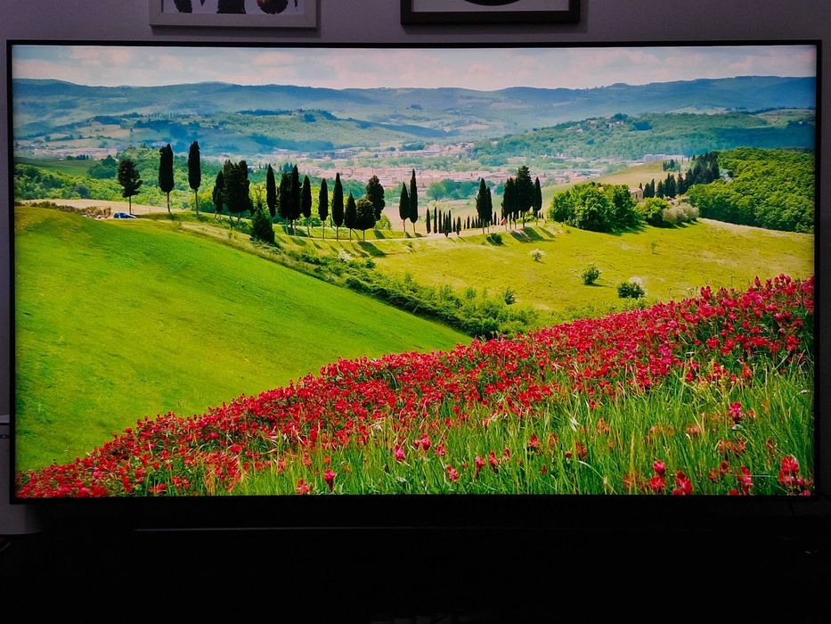 TV SAMSUNG (QLED - 65'' - 165 cm - 4K Ultra HD - Smart TV) - 380 EUR