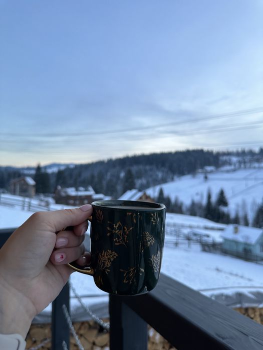 Барнхаус «Ґрунь» - будинок в Карпатах