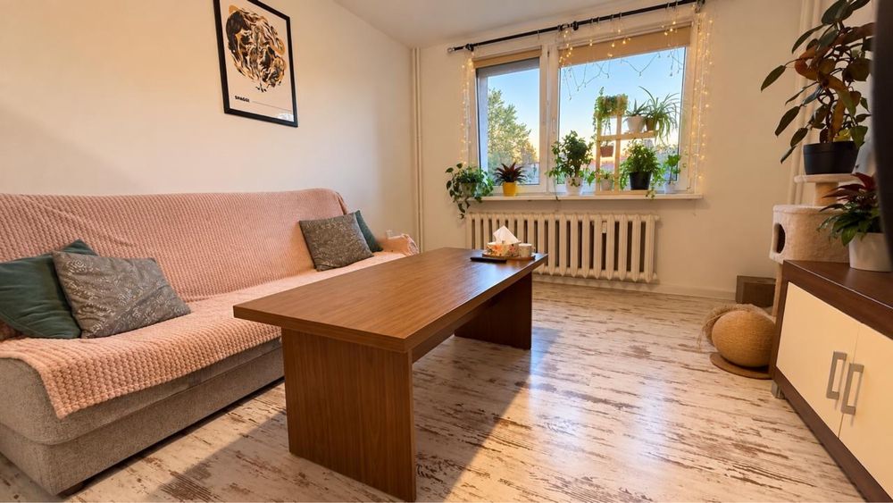 Apartment in Bytom - View 2