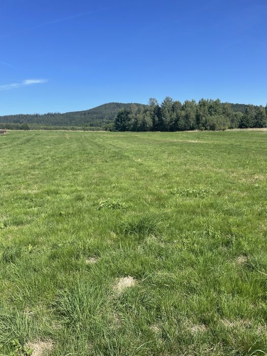 Działka budowlana w Sędzisławiu