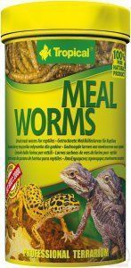 Tropical Meal Worms 100ml Pokarm Dla Gadów Jaszczurek Żuków Żywe Larwy Mącznika Naturalna Karma Zoojoy