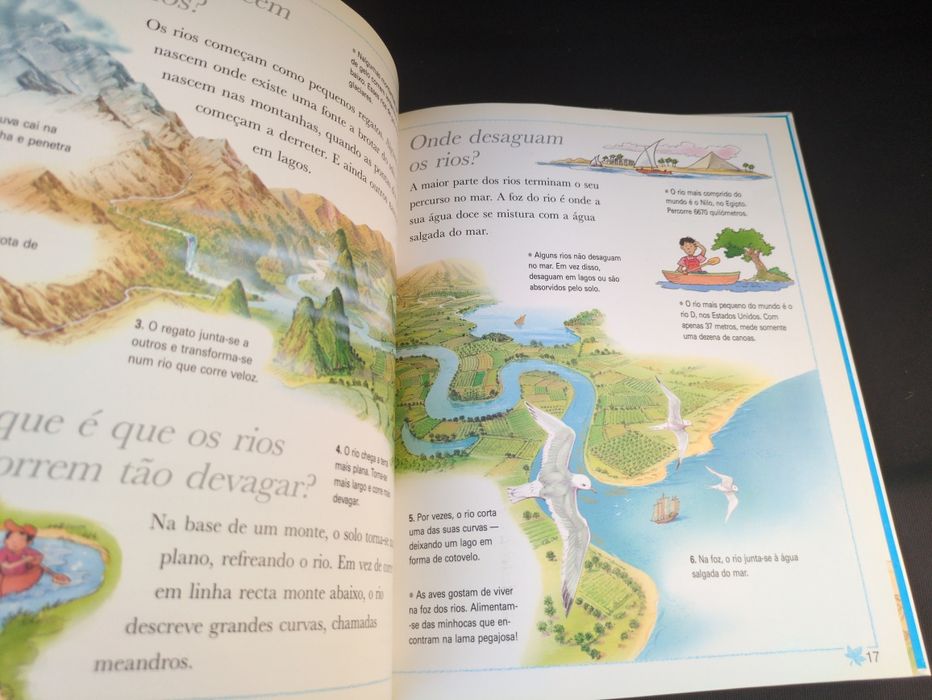 Porque Será Que o vento sopra