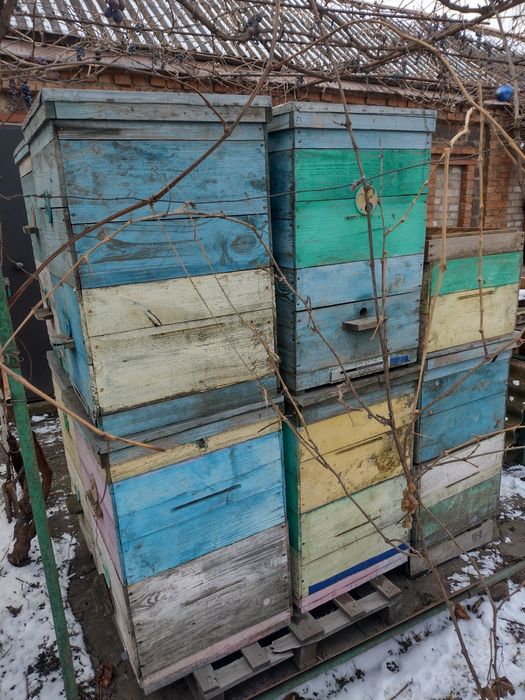 Продам вулики в нормальному стані.