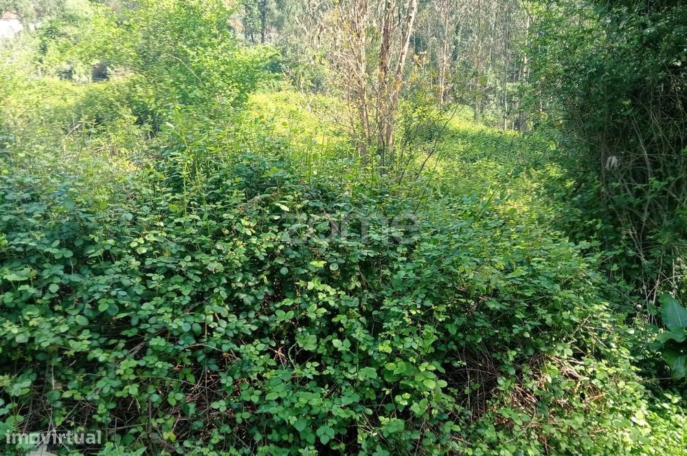 Terreno para construção