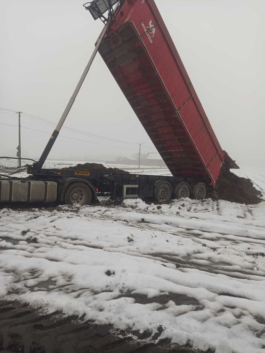 Obornik bydlęcy z transportem tanio!!!