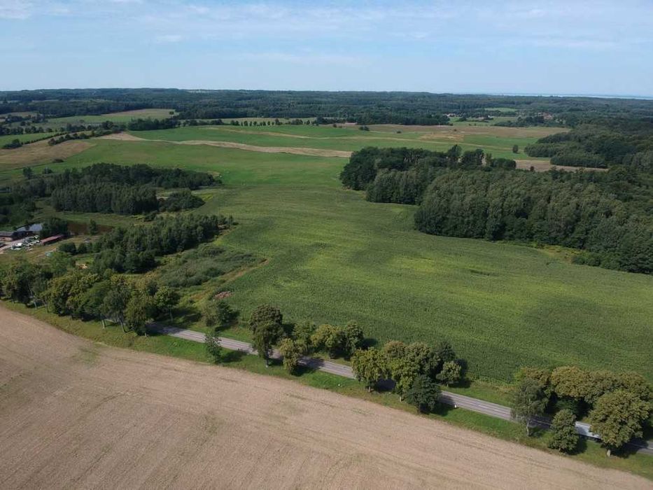 7,4 HA GRUNTU ROLNEGO – HUTA ŻUŁAWSKA – Asfalt – Blisko Elblaga