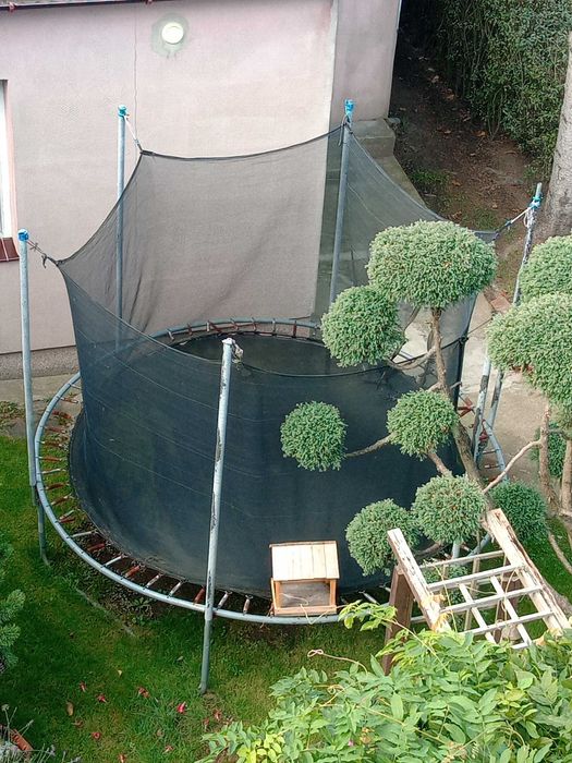 Trampolina ogrodowa