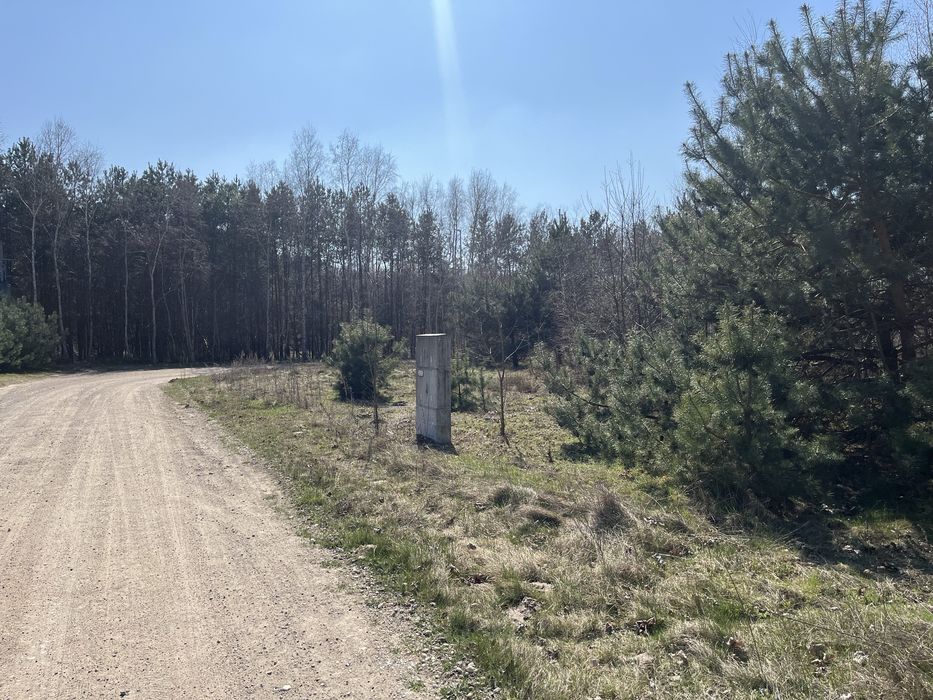 Działka budowlana Kotwasice przy lesie